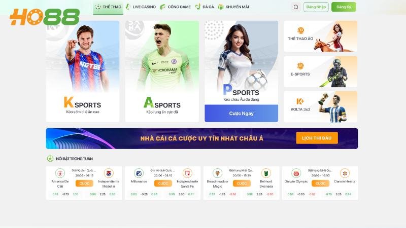 Các nhà cung cấp uy tín hợp tác với Ho88