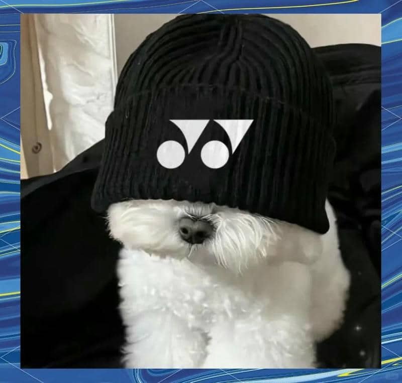 avatar cầu lông (2)