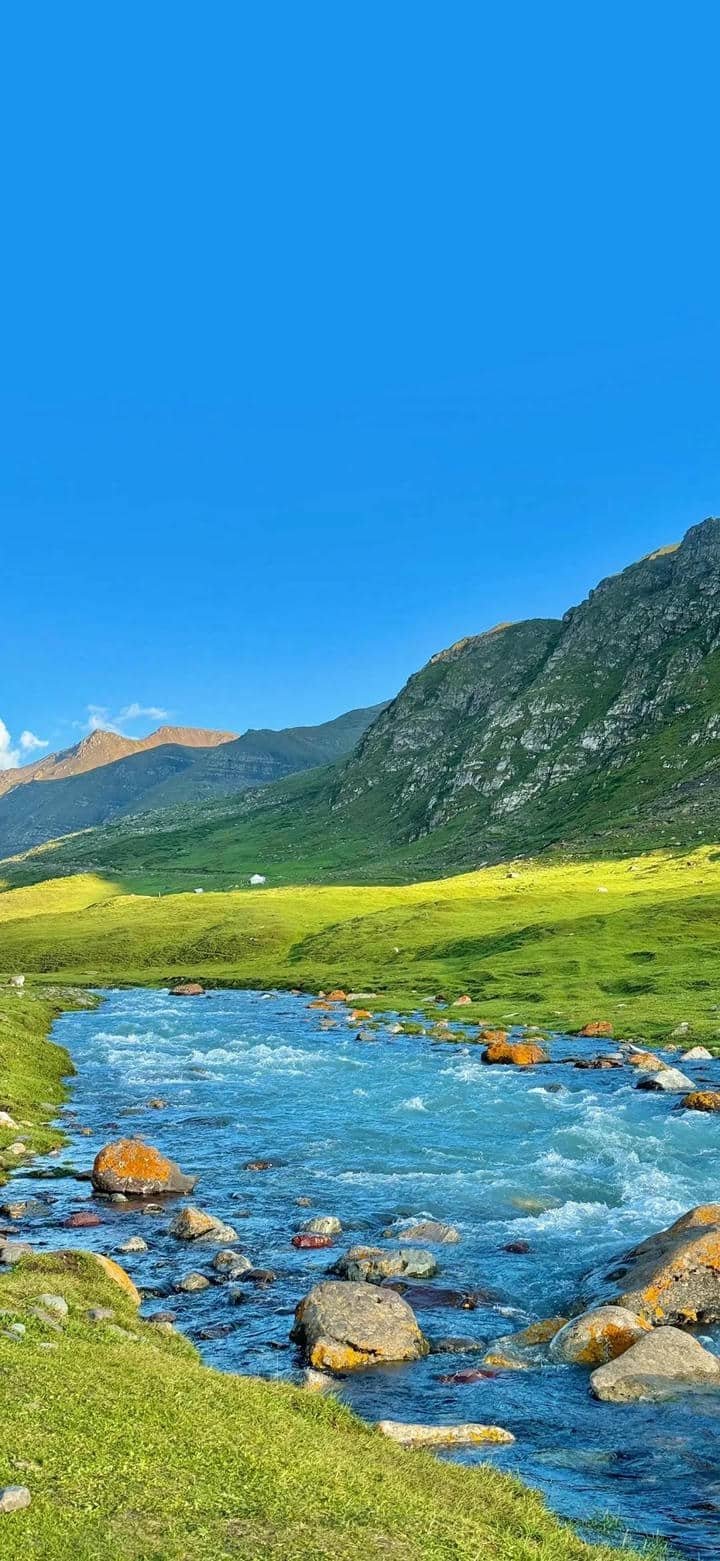 hình nền điện thoại (8)