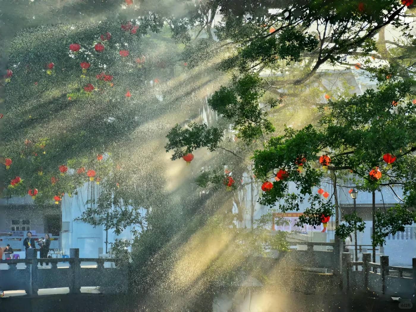 hình nền máy tính (3)