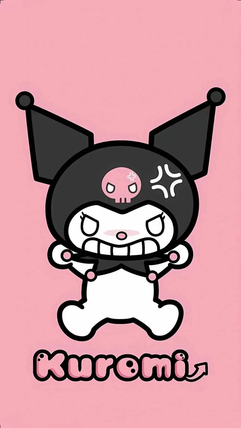 kuromi cute (15)