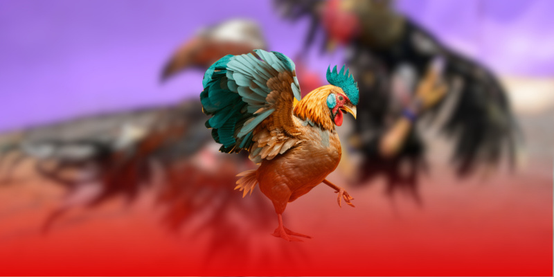 Hướng Dẫn Tham Gia Đá Gà Cựa Đòn XX88 Chỉ Trong Vài Phút