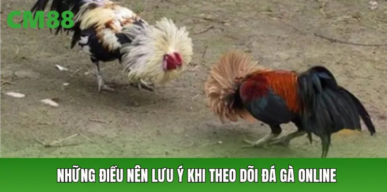 Kinh nghiệm thực tế: Quản lý vốn, cảm xúc và điểm dừng