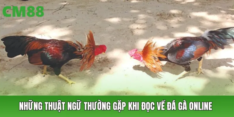 Phương pháp đọc trận: Thể lực, thế đánh và thời điểm quyết định