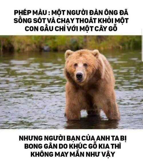 ảnh chế meme dark