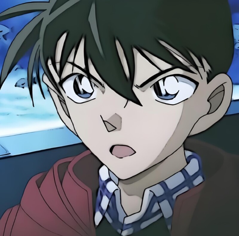 ảnh của kudo shinichi