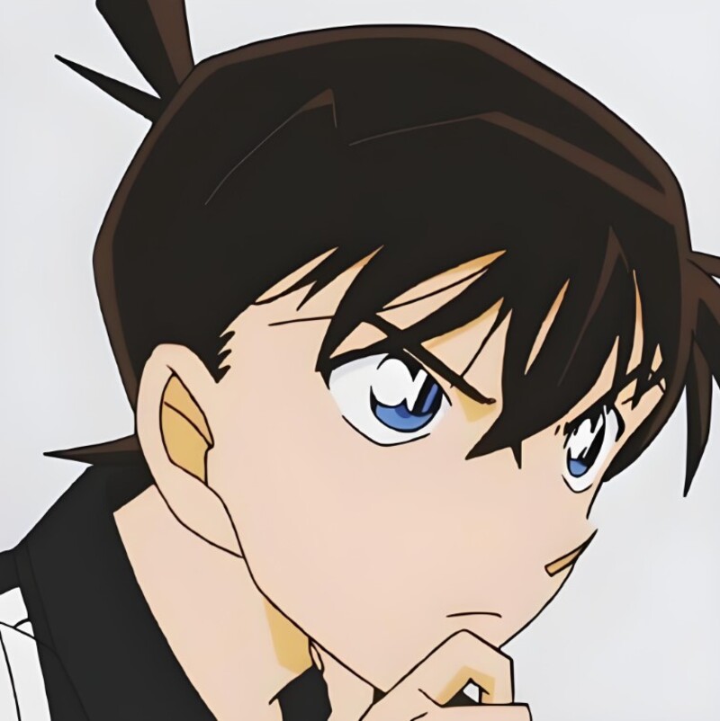 ảnh của shinichi