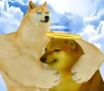 78+ Hình ảnh meme cheems hài hước, thú vị trên mạng xã hội