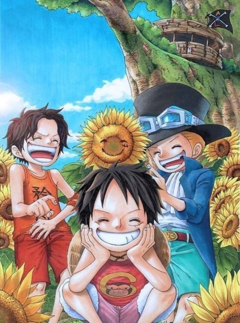 ảnh luffy ace sabo lúc nhỏ