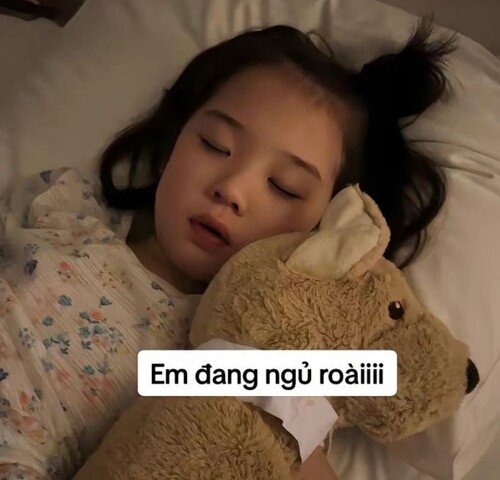 ảnh meme đi ngủ