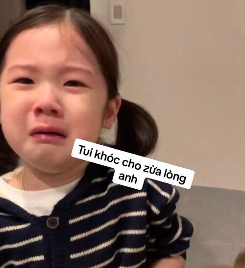 ảnh meme em bé dỗi