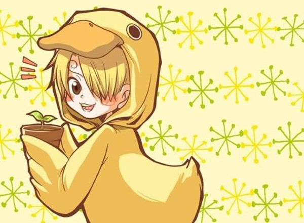 ảnh sanji chibi cute