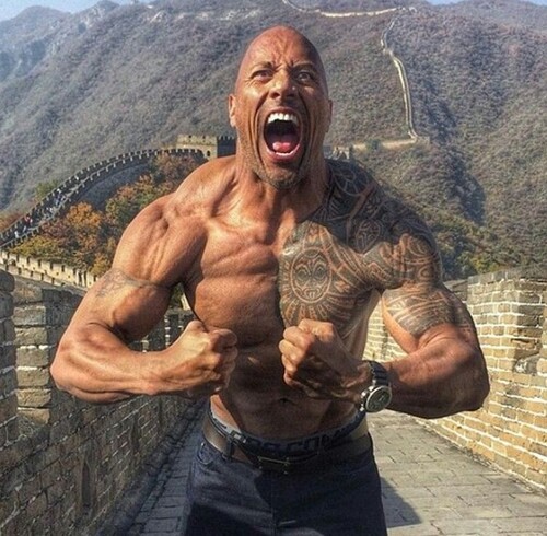 audio the rock meme