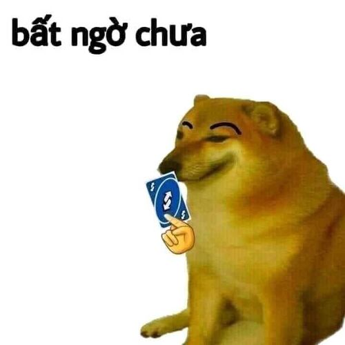 bất ngờ cheems meme vietnam