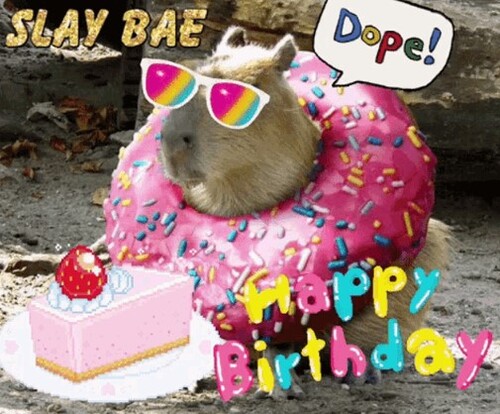 capybara happy birthday me me