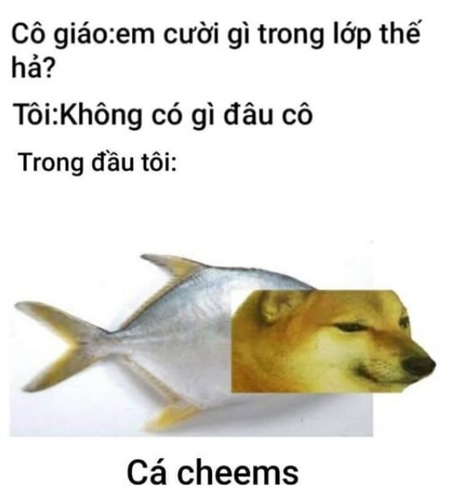 cheems meme vietnam