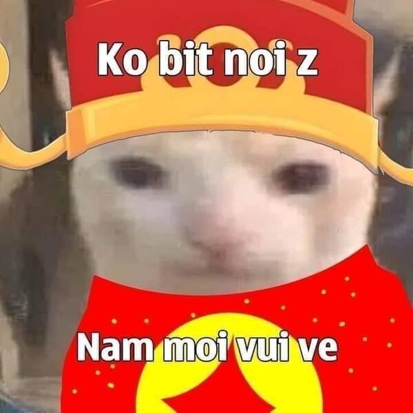 chúc mừng năm mới meme