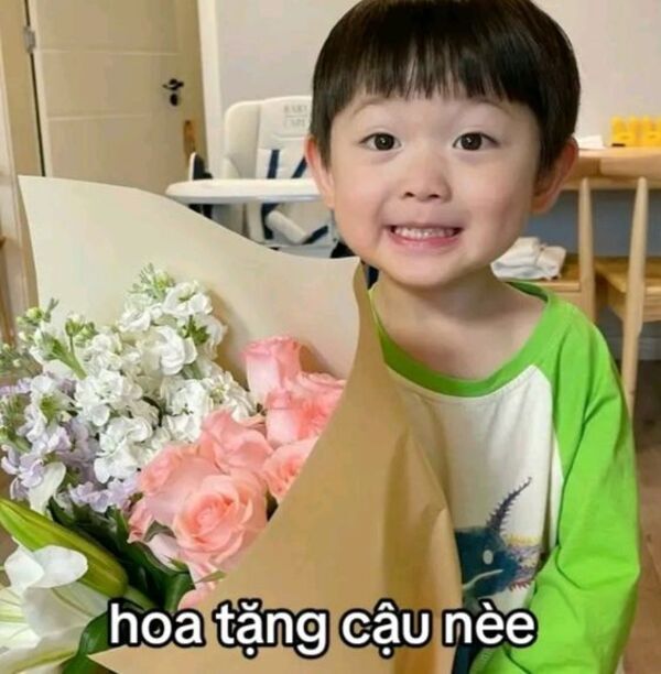 cute meme tặng hoa