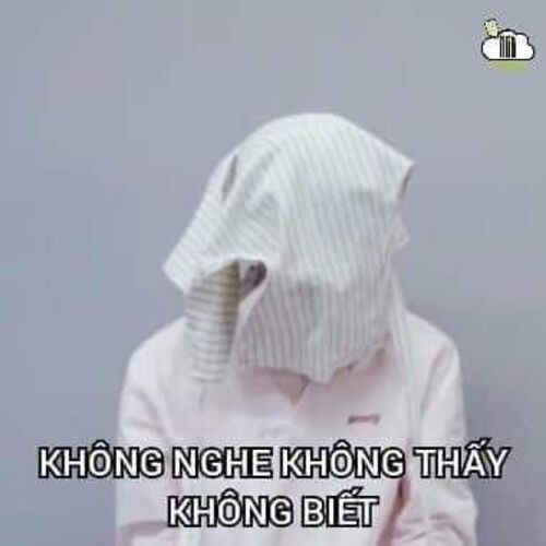 dđội quần meme