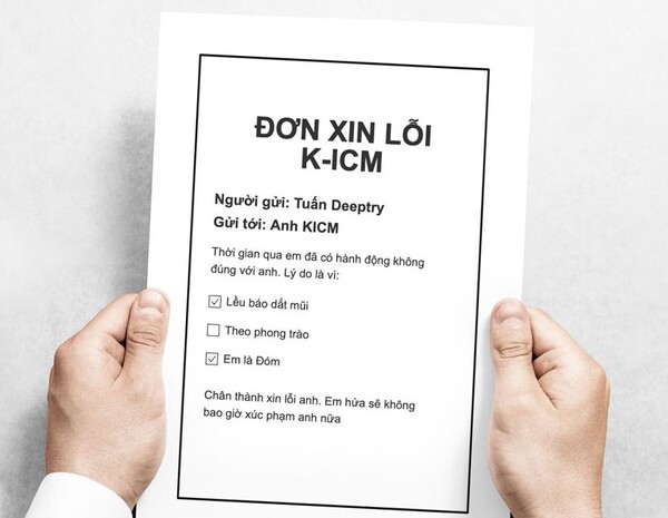 đơn xin lỗi meme