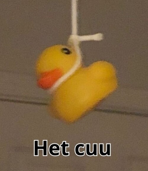 het cuu meme treo co