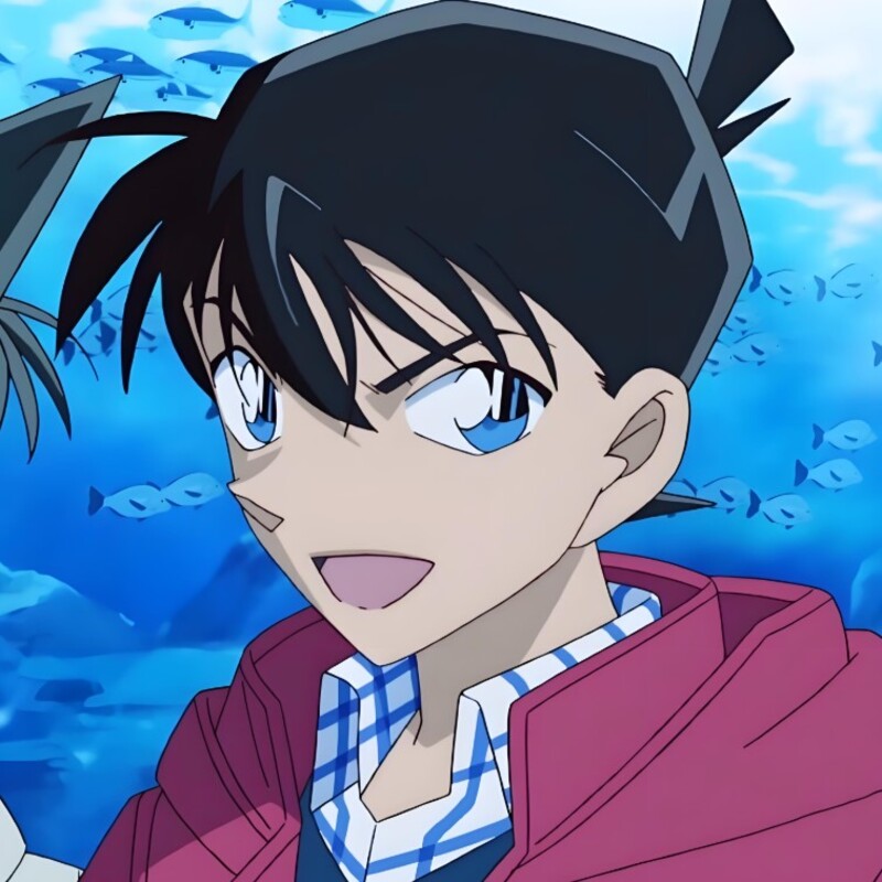 hình ảnh shinichi