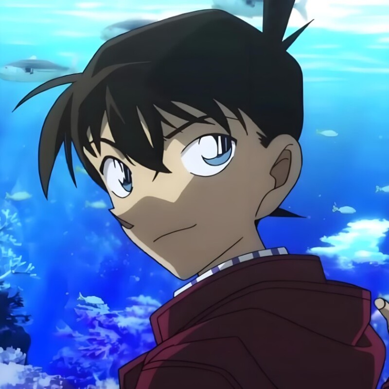 hình shinichi