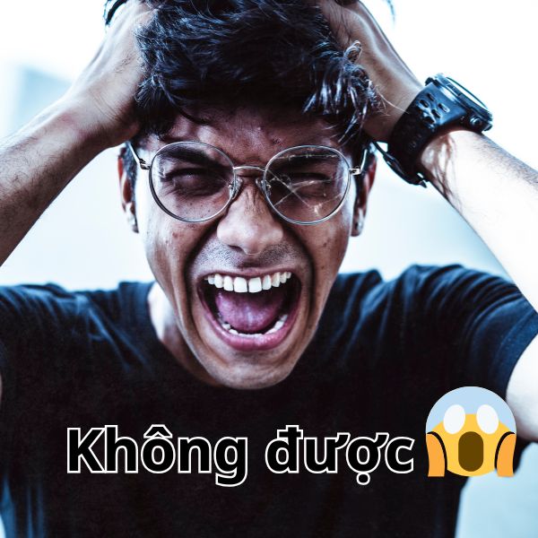 không được meme