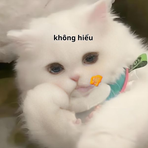 không hiểu meme