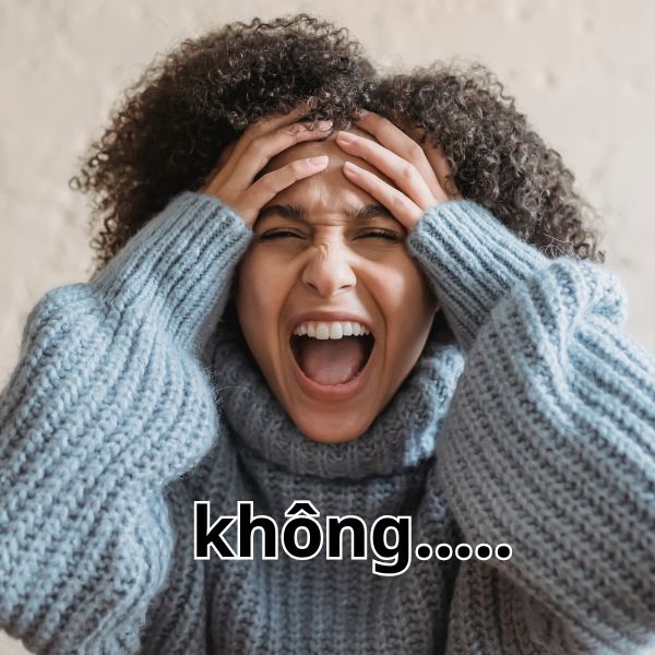 không không meme