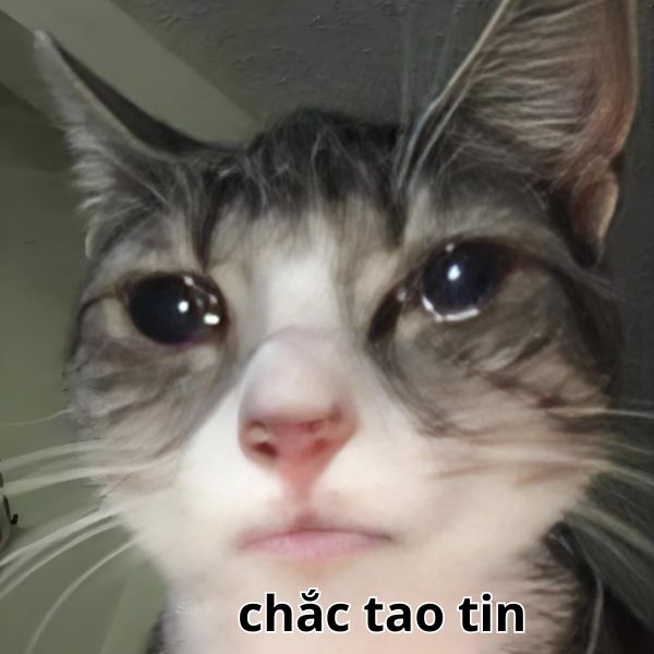 meme chắc tao tin