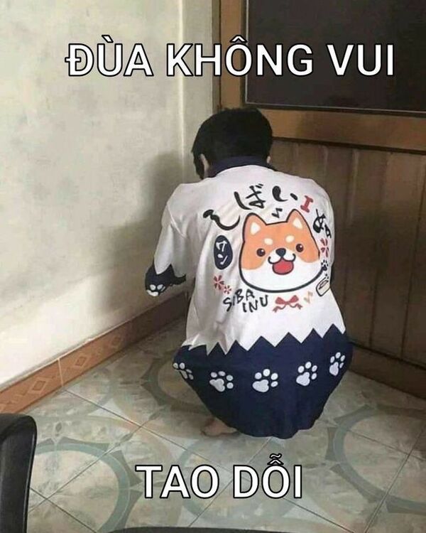 meme dỗi việt nam