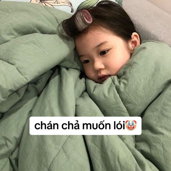 meme dỗi vn