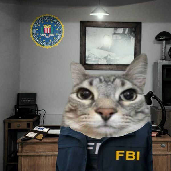 meme fbi