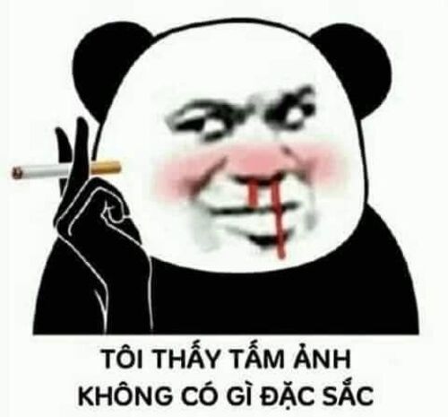 meme gấu trúc bựa trung quốc