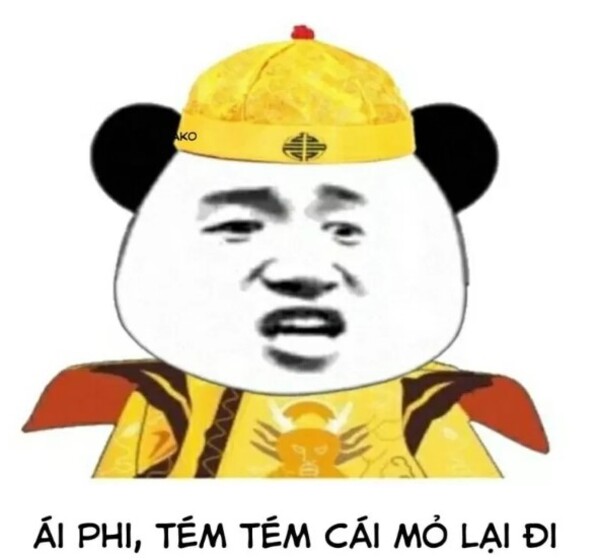 meme gấu trúc bựa trung