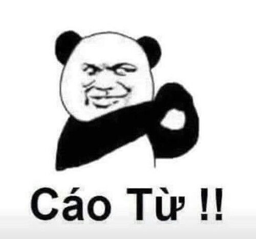 meme gấu trúc cáo từ