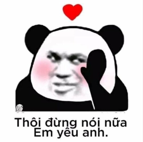 meme gấu trúc yêu