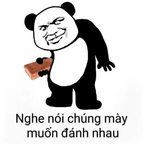 meme hài gấu trúc