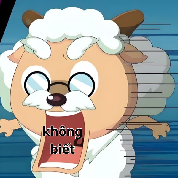 meme không biết