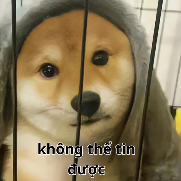 meme không thể tin được