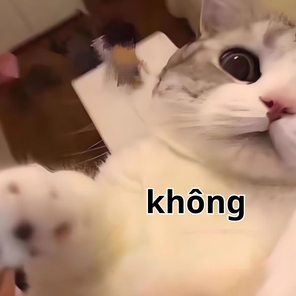 meme không