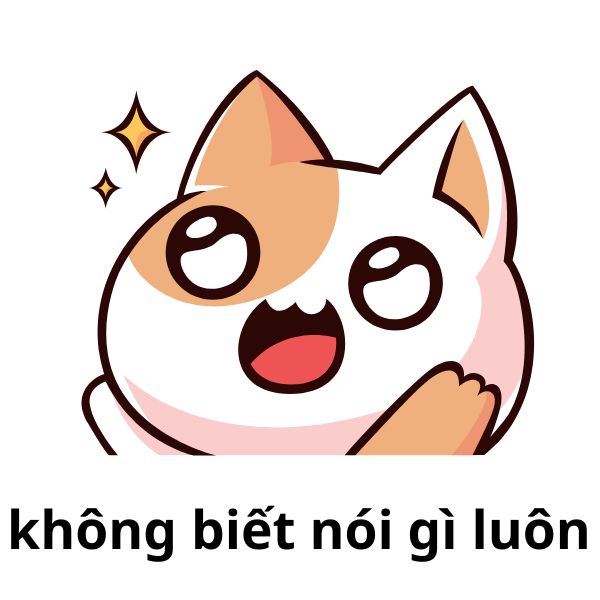 meme mèo không biết nói gì