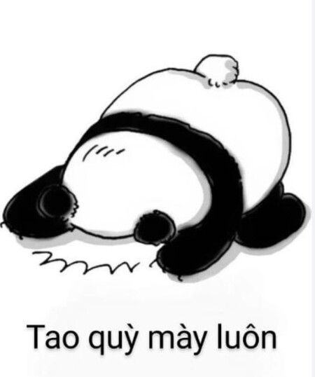 meme quỳ lạy cảm ơn