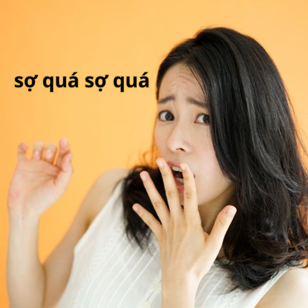 meme sợ quá sợ quá