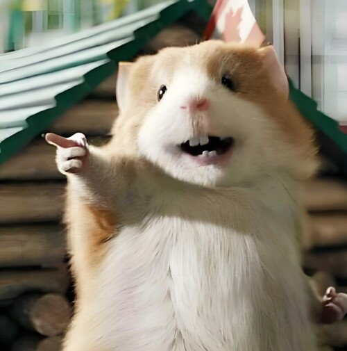 nhộn hài meme chuột hamster