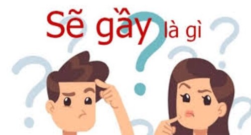 sẽ gầy gay meme