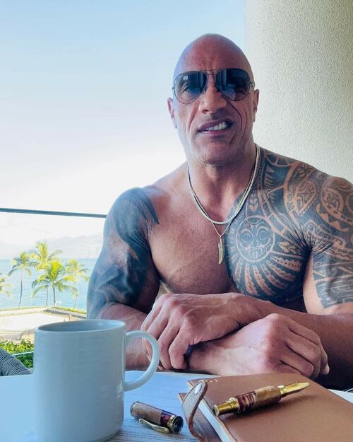 the rock looking meme