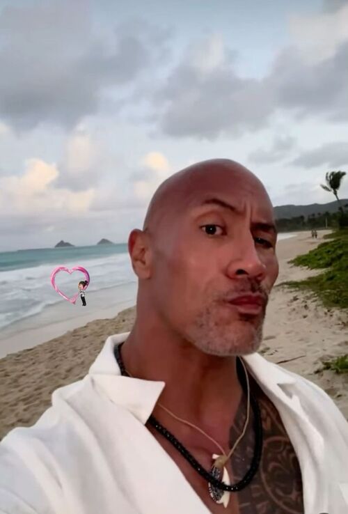 the rock meme eyebrow