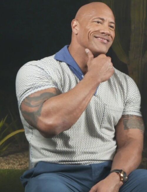 the rock meme hd